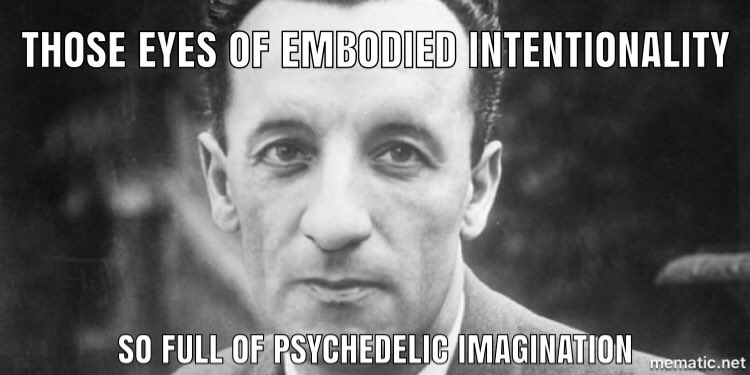 merleau_meme